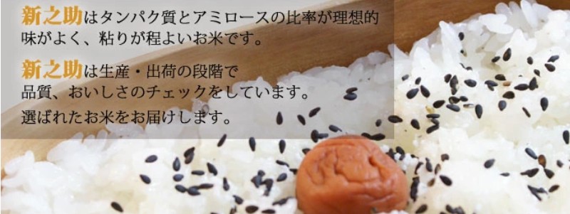 �z��ፑ�n��A��i�V���X�j�ߘa6�N�Y �V�� �V�V�� 10kg 
���T�C�g